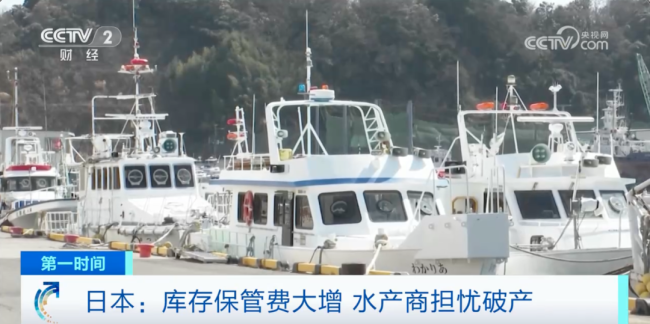 日本呼吁民众多吃扇贝 当地海鲜“堆积成山”