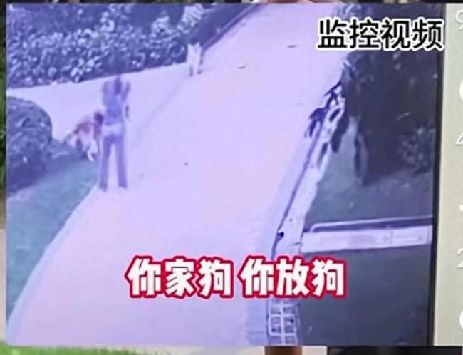 男子遛狗不牵绳自称警察 看完监控后仍不认错威胁对方