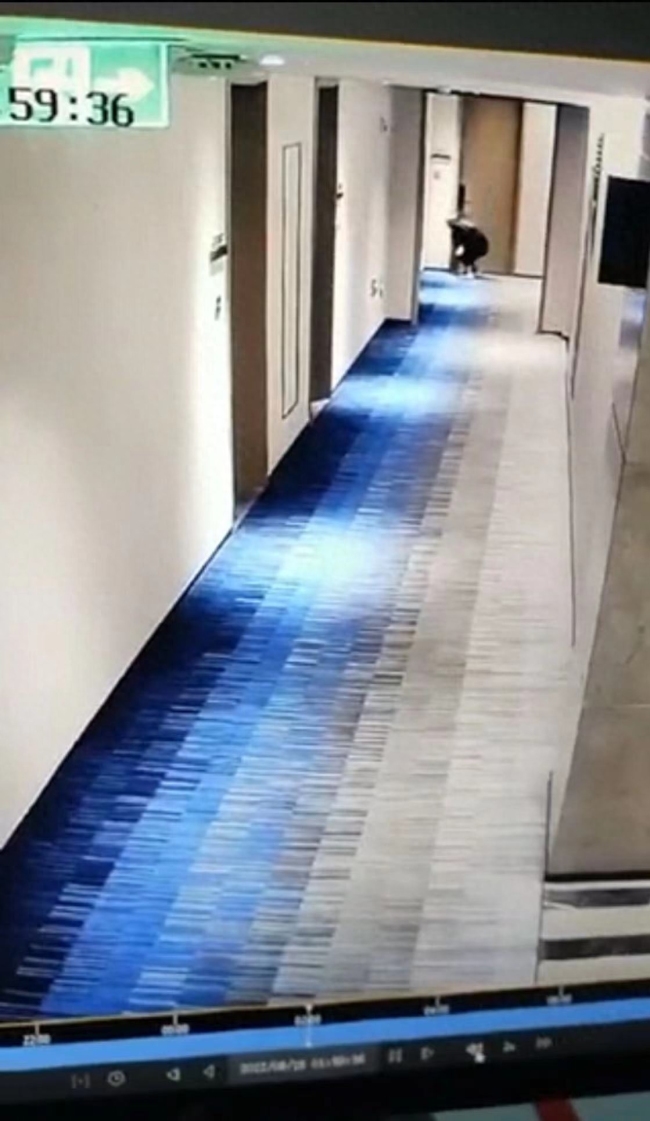 辟谣保安因举报他人被辞：经核查，无此事