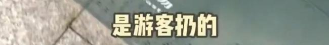 四川一景区国庆节后国旗都扔进了垃圾桶，景区：肯定不是我们扔的会去现场查看