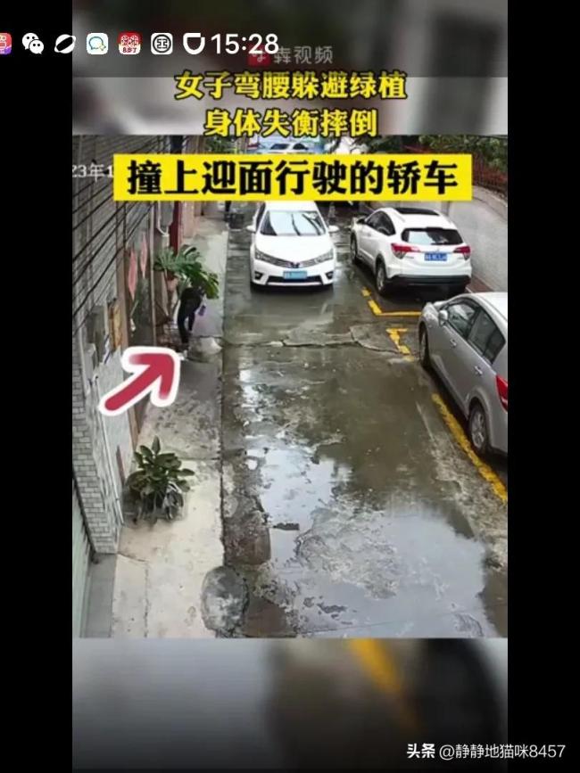 女子弯腰身体失衡撞上车 司机：她自己撞到的