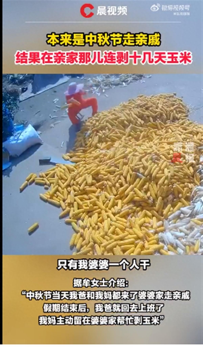 暖心!女子爸妈帮亲家收玉米:心疼亲家农忙辛苦
