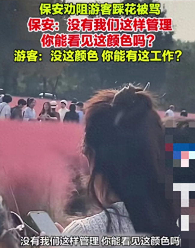 北京一景区保安花海中劝阻游客踩花被辱骂