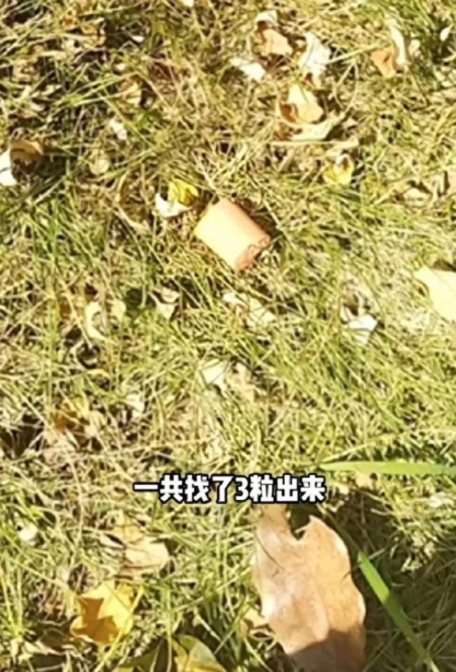 男子小区遛狗时发现草坪被投放多个毒火腿：已报警