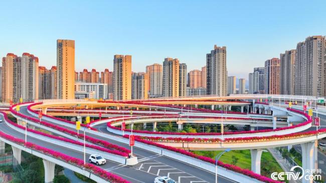 西安市1个高风险14个中风险地区调整为低风险地区 - Peraplay Online Games - Baidu 百度热点快讯