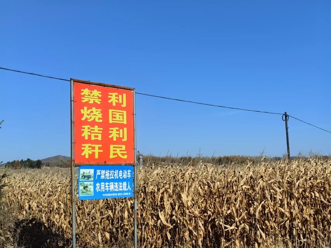 黑龙江：2023秸秆还田率达68%以上保育黑土耕地
