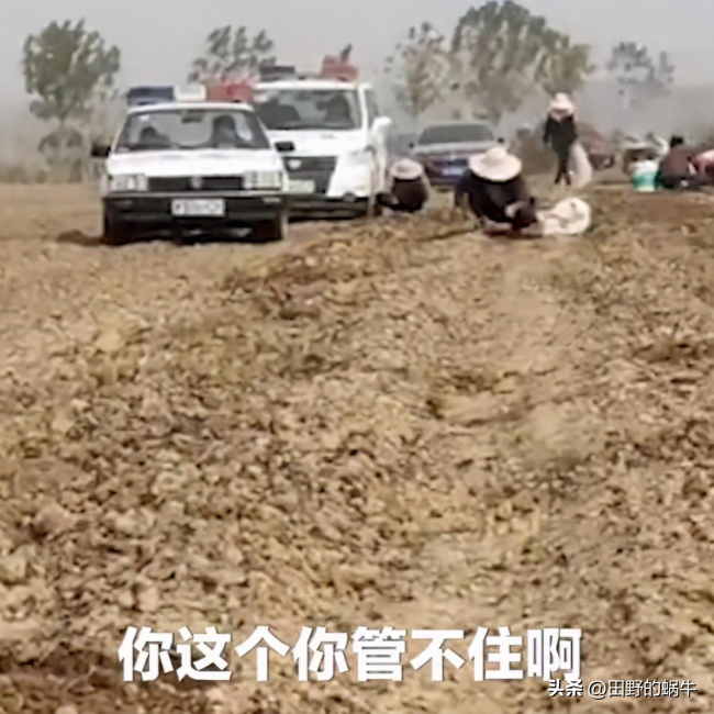 媒体评哄抢频发：与纵容有极大关系！大事化小小事化了本身就是错误的行为