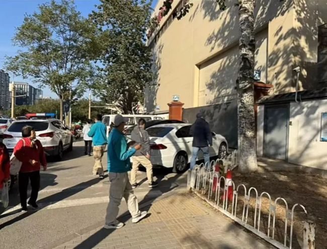 北京朝阳、海淀、通州多地出现猴子踪迹 “逛街”的俩“猴哥”哪来的？