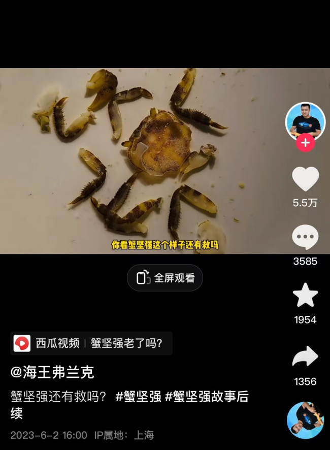 36岁工程师痴迷于海洋生物变“海王”走红