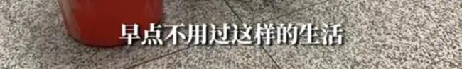 妈妈为省钱背冰箱坐20小时火车回家 儿子：心疼又愧疚