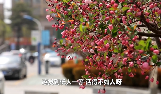 母亲因女儿30多岁未嫁得抑郁症进医院