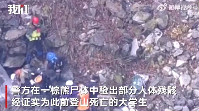 日本北海道一棕熊尸体内发现人体残骸，系登山大学生！