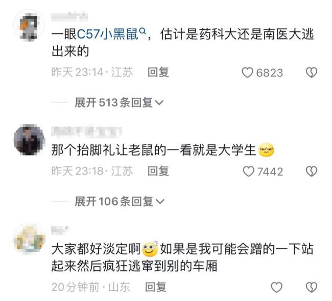 南京地铁一车厢惊现老鼠乱窜 回应将核实并消杀