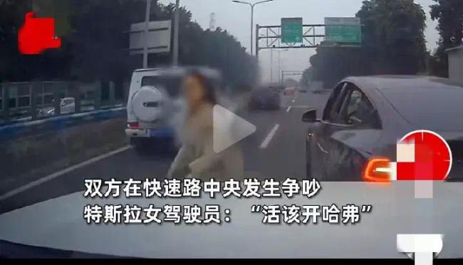 司机未让特斯拉加塞遭别停 女司机下车怒怼:你是人吗活该开哈弗