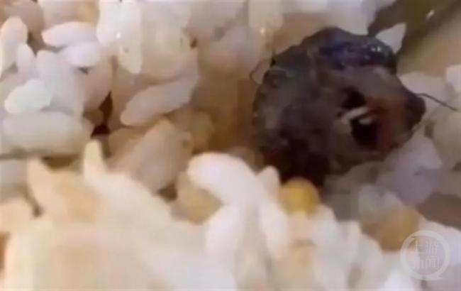 “鼠头鸭脖”涉事方及责任人被罚706万元 鼠头鸭脖食堂还曾吃出青虫臭虫