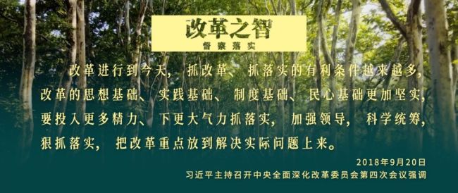 三集政論片《偉大的改革》第三集《改革之智》