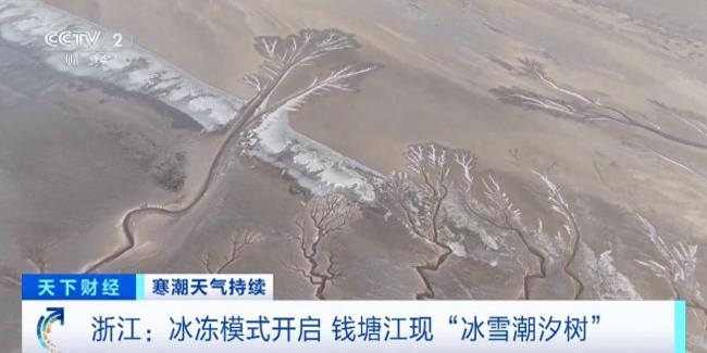 画面震撼！钱塘江现罕见冰封潮汐树奇景