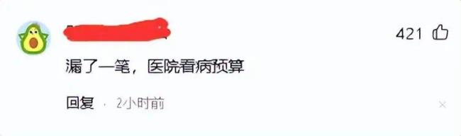 二胎夫妻2024年支出预算超22万 看到各项明细后，我沉默了！