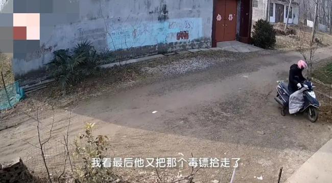 男子骑摩托车发射毒镖偷狗，被主人发现后逃离现场