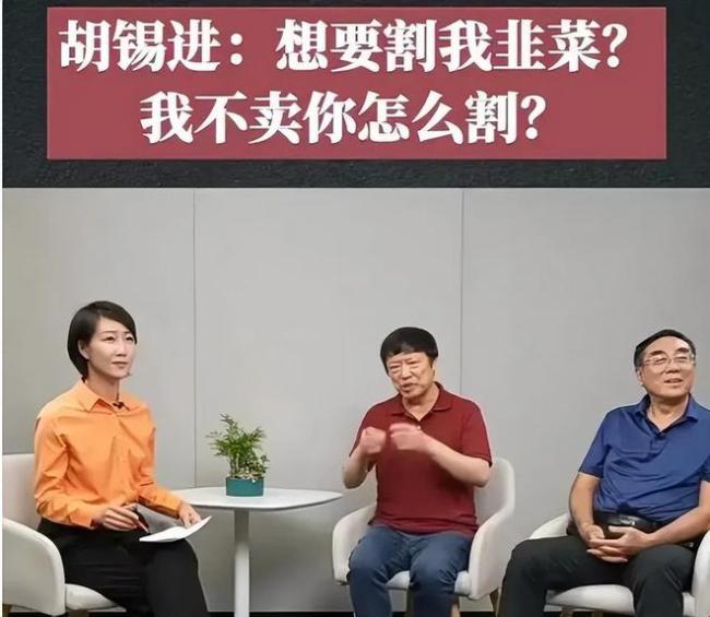 一入股市深似海！胡锡进总亏损63229元