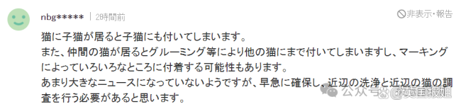 日本一猫咪误入化工池沾满致癌物后逃离，“毒猫”成为当地棘手事件