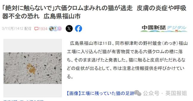 日本福山全城寻找毒流浪猫曾掉进有毒液体罐后逃离 千万不要摸！