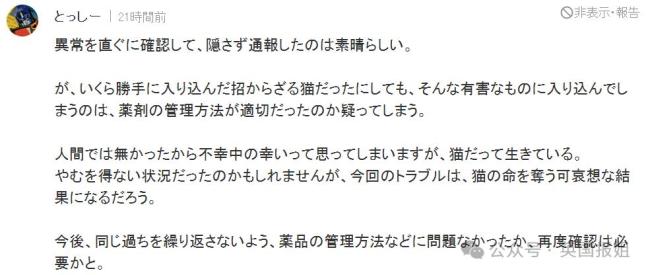 日本福山全城寻找毒流浪猫曾掉进有毒液体罐后逃离 千万不要摸！