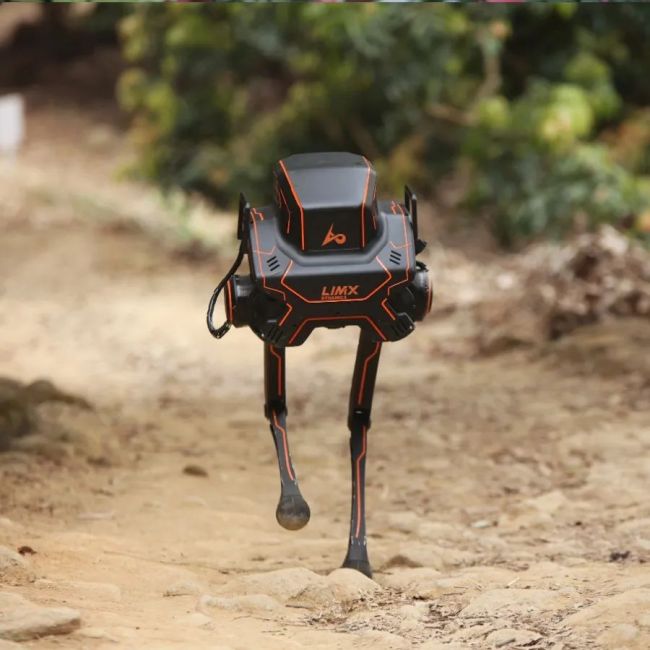 中国造双足机器人完成森林徒步测试