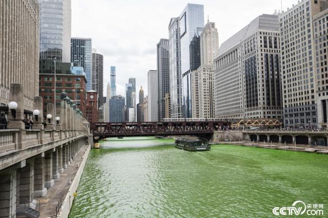 美国芝加哥河被染成绿色