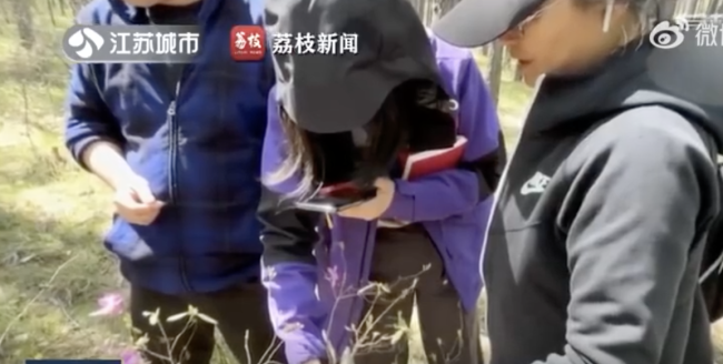 7人盗伐倒卖国家二级保护植物兴安杜鹃获刑