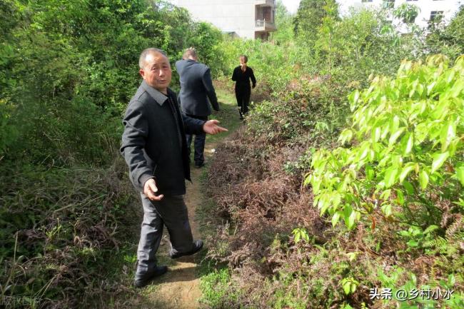 4月4日清明，今年清明“不一般”，有3大特点，与往年大不相同