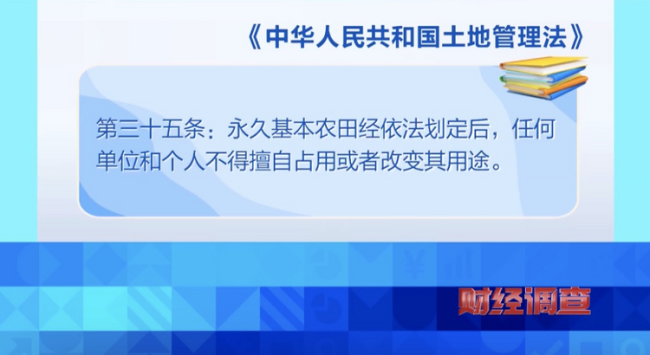 央视曝光！耗资超800万元建高标准农田，两年后改建光伏电站！当地稻谷亩产大跌→