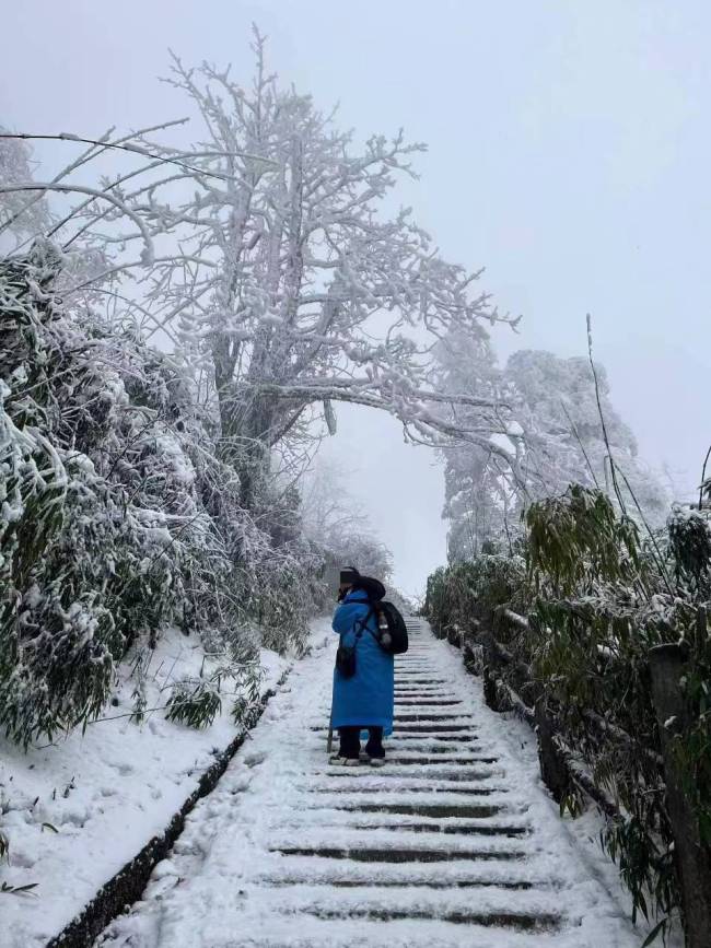 2月7日，陈小佳在峨眉山失联。受访者供图