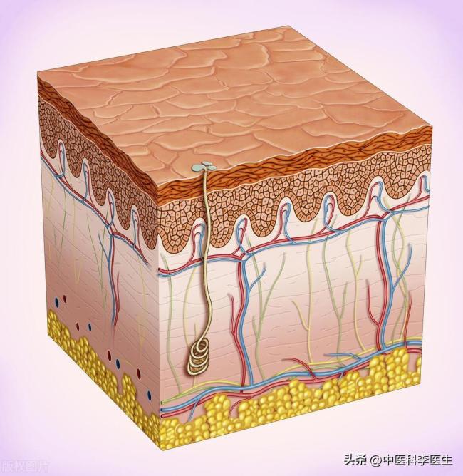 人出三汗，命比纸薄”？“人洗三澡，命比纸薄”？