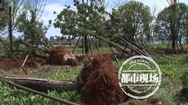 南昌强对流天气已致4死10余伤，遇到这种天气要如何避险？  