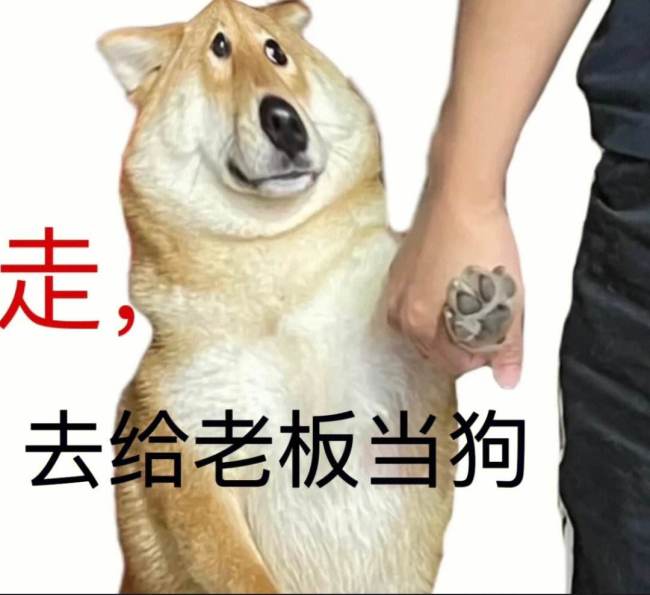 农历春节过后,往往是找工作和用工的高峰期.