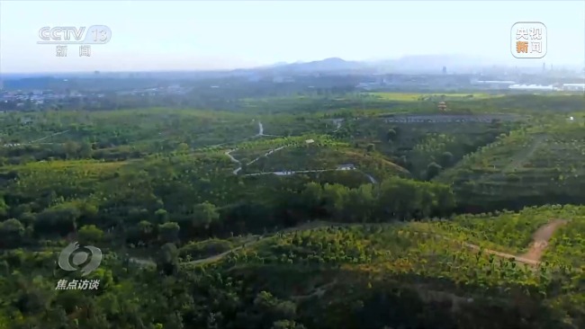 焦点访谈丨全民植树增绿 共建美丽中国