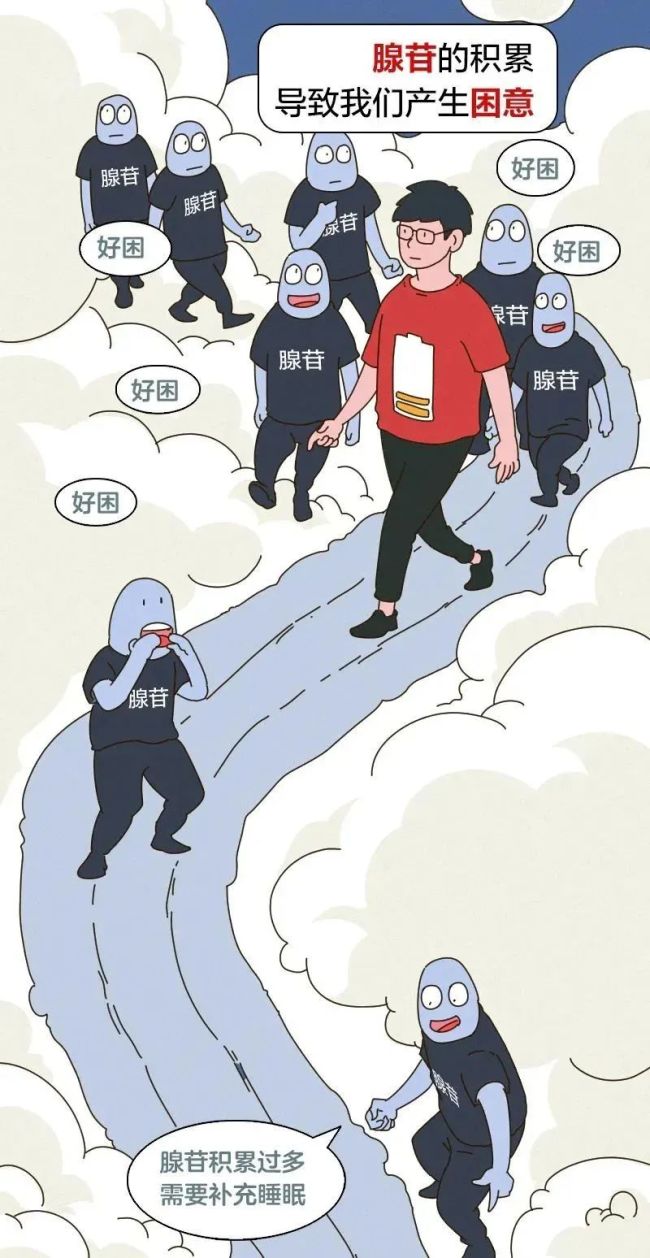 一坐车就打瞌睡的人都有个共同点 你是否有过相似的经历