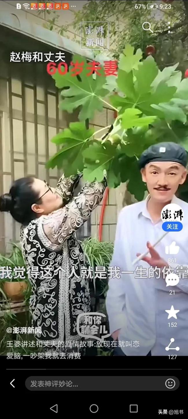 开封王婆称自己是恋爱脑，为了追求爱情连工作都辞了