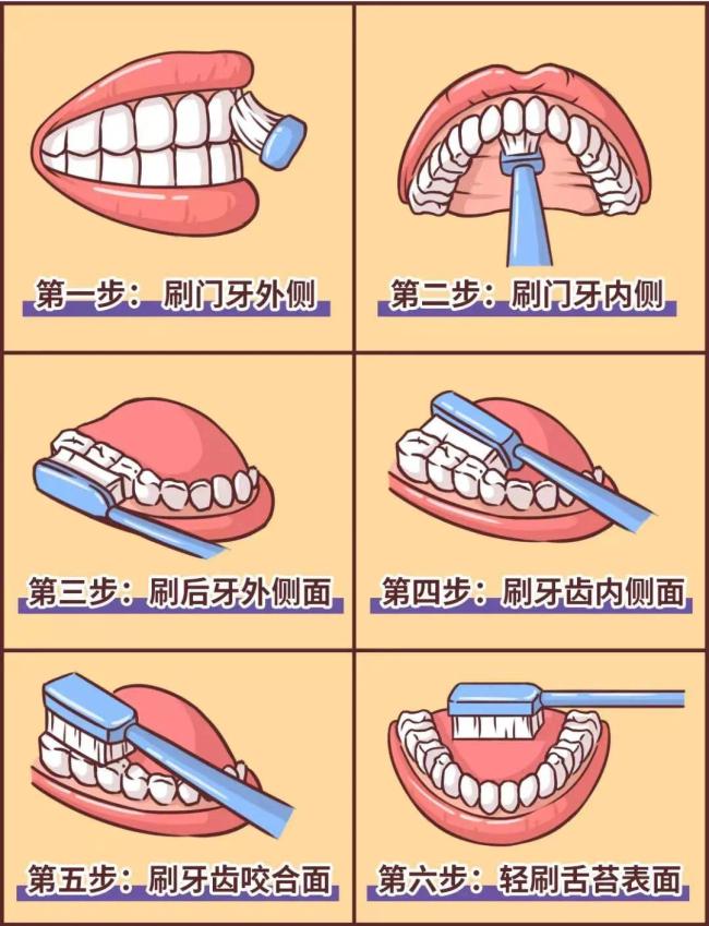 刷牙前牙膏要沾水吗？只是泡沫多或少的小事