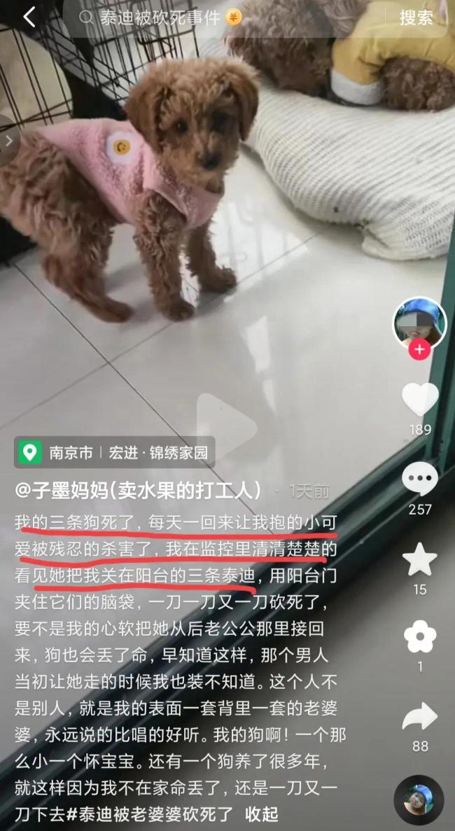 女子称养的三只狗被婆婆砍死，监控画面曝光！