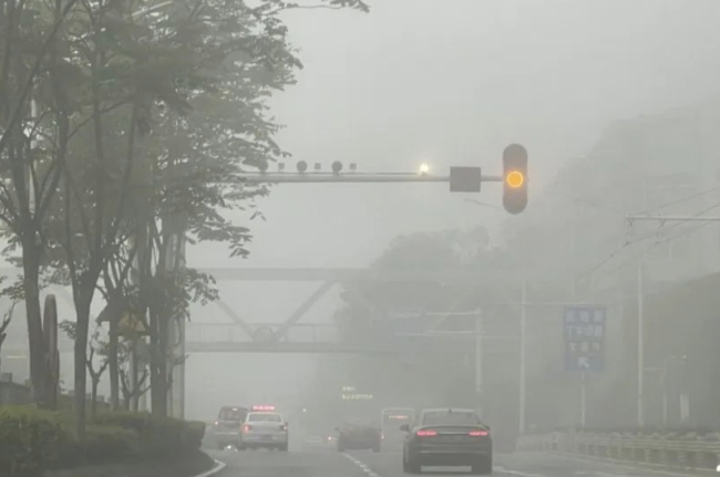 武汉部分高速收费站因大雾临时管控 12处通行受限