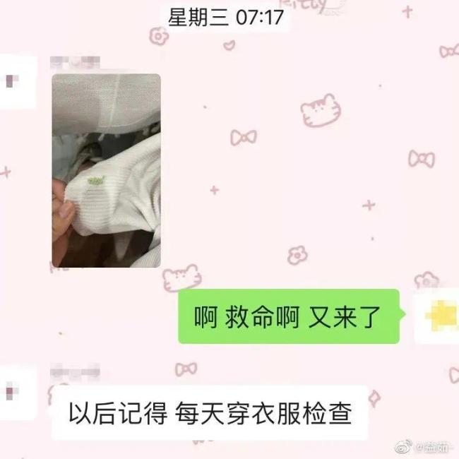 多地已出现！专家：衣服上发现荔蝽虫卵要当心