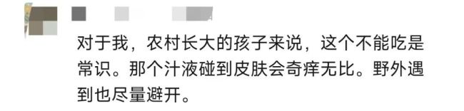 误食海芋 男子中毒舌头“烂了” 警惕“高仿芋头”危机