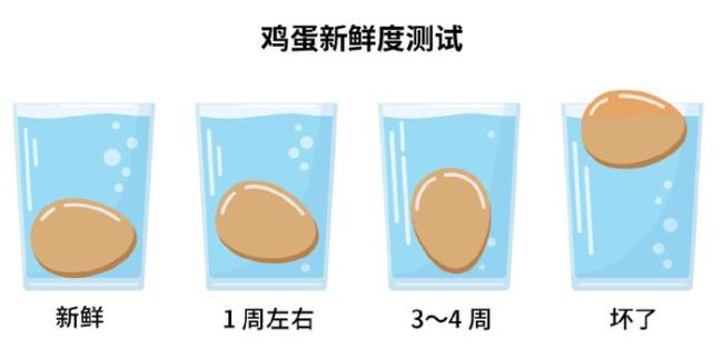 鸡蛋最长能放冰箱多久？新鲜度鉴定四步法学起来