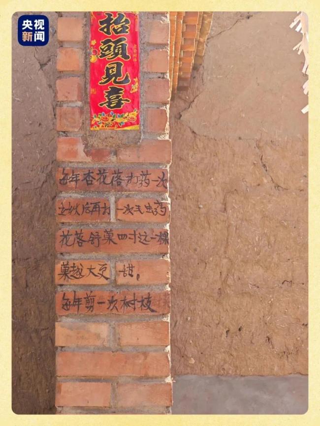 一位过世农村老人留下满院墙心事 他把岁月写在砖墙上