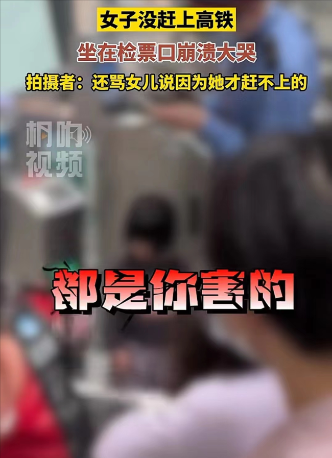 杭州高铁站女子未赶上车在检票口冲孩子大吼