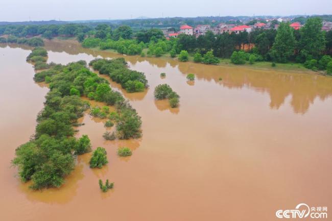 江西吉安：受強降雨影響 贛江水位持續上漲