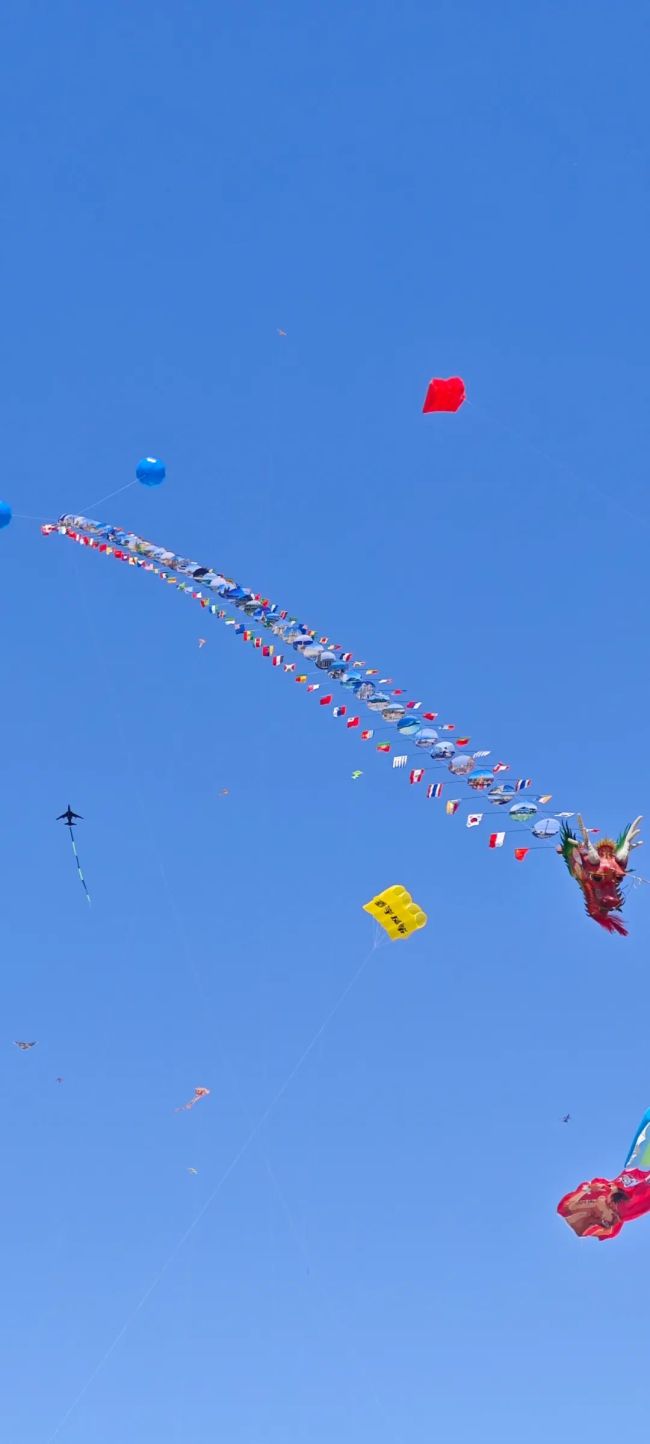 给潍坊一根线 万物皆可飞上天 创意风筝盛宴惊艳开幕