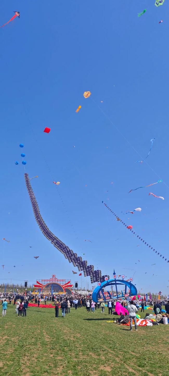 给潍坊一根线 万物皆可飞上天 创意风筝盛宴惊艳开幕